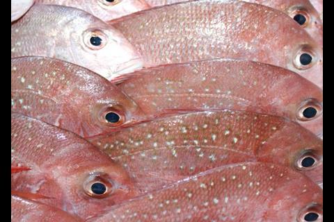 The 2012 Status of Australia Fish Stocks report revealed a significant proportion of Australia's fisheries are well managed.